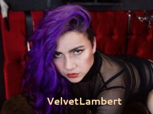 VelvetLambert