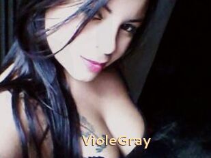 VioleGray