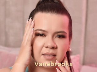 Vanebrooks