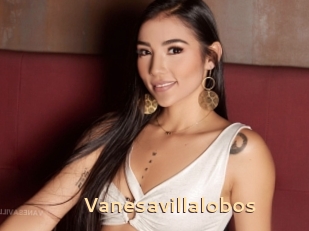 Vanesavillalobos