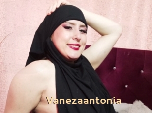 Vanezaantonia