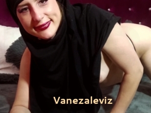 Vanezaleviz