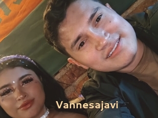 Vannesajavi