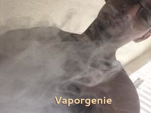 Vapor_genie