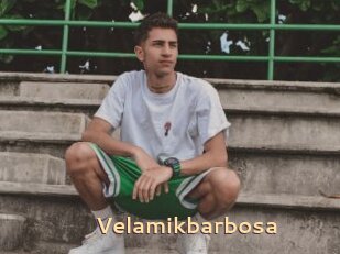 Velamikbarbosa