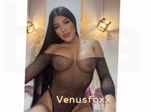 Venusfoxx