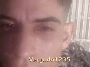 Vergudo1235