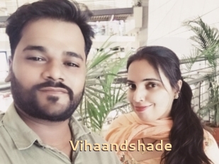 Vihaandshade