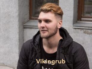 Vikingrub