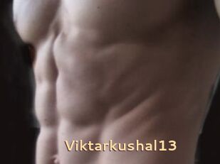 Viktarkushal13