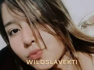 WILDSLAVEKTI