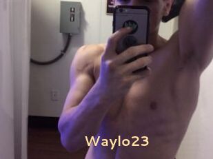 Waylo23