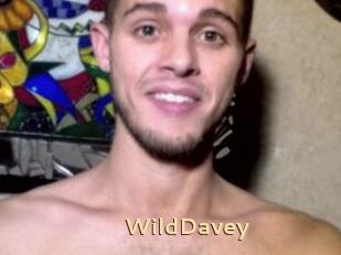 WildDavey