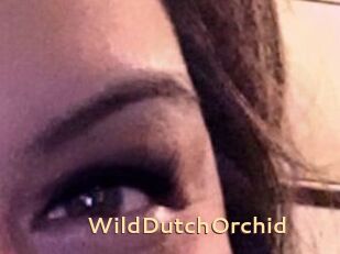 WildDutchOrchid