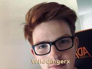 WildGingerx