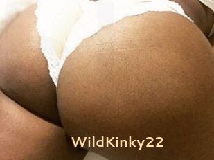 WildKinky22