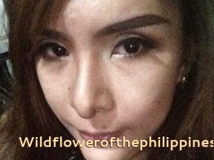 Wildflowerofthephilippines