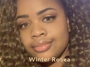 Winter_Rosea