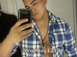 Wolfboy1213