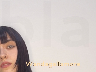 Wandagallamore