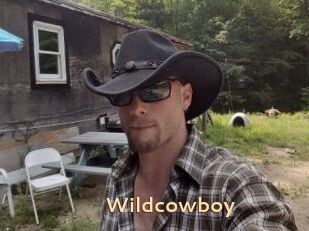 Wildcowboy