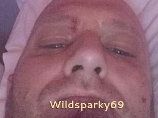 Wildsparky69