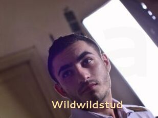 Wildwildstud