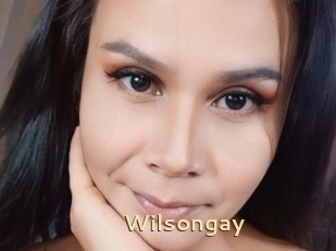 Wilsongay