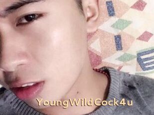 YoungWildCock4u