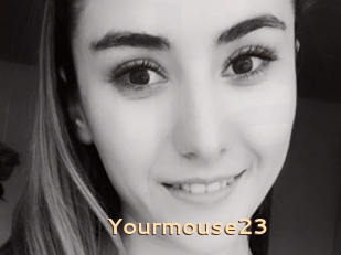 Yourmouse23